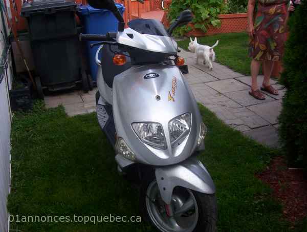 scooter pgo t rex 2008 a vendre